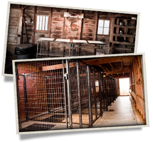 Cleaning station and dog kennels