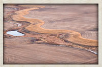 Aerial views of a food plot running along a dra