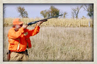 Hunter taking aim at a rooster