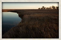 Open field running along lake