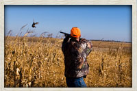 A hunter taking aim and bagging his bird