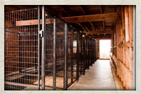 Facility kennels