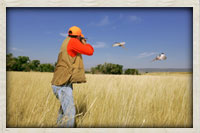 Hunter aiming to knock down a pheasant in flight