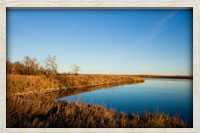 Bank near facility pond