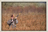 hunting in a red milo food plot