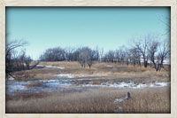 Pheasant Hunt Get-Away