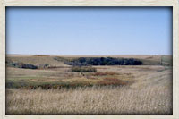  Another view of the Vogeler land