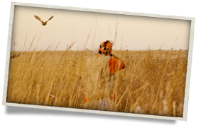 Hunter in orange vest